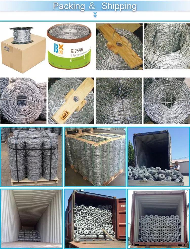 galvanized barbeds barbed wire
